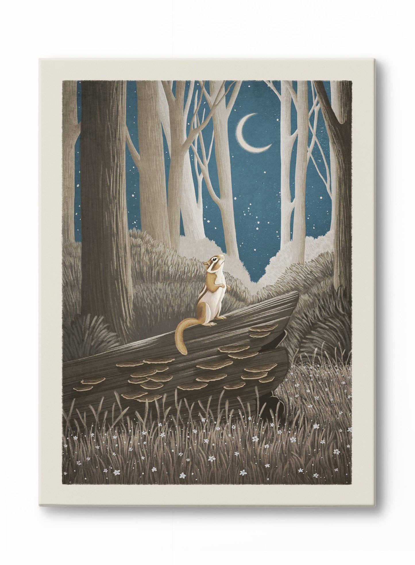 Crescent Moon Musings, Poster