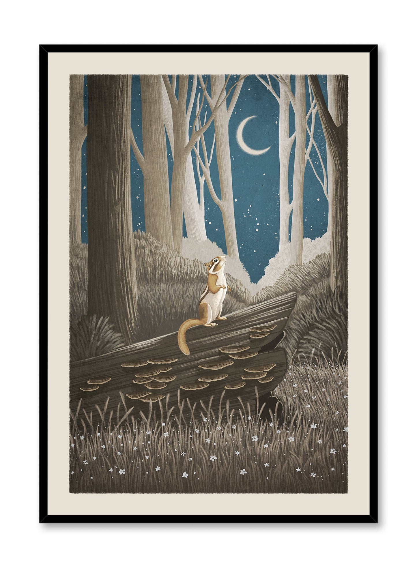 Crescent Moon Musings, Poster